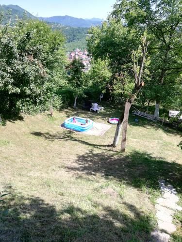 Outdoor Pictures 9