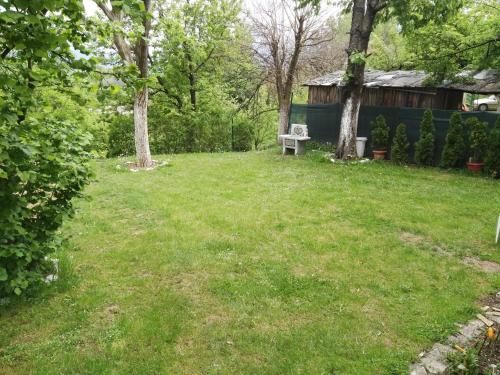 Outdoor Pictures 24