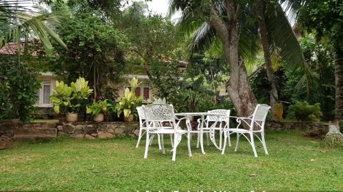 Outdoor Pictures 11