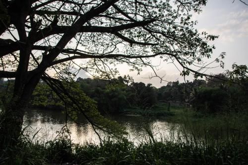 Outdoor Pictures 20