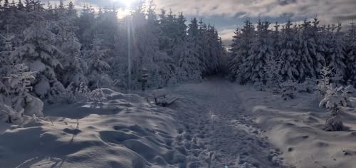Outdoor Pictures 15