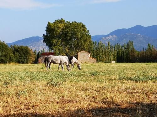 Outdoor Pictures 7
