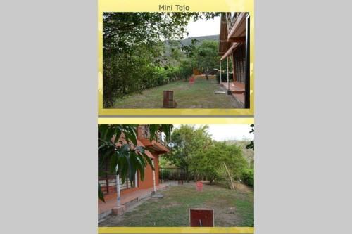 Outdoor Pictures 7