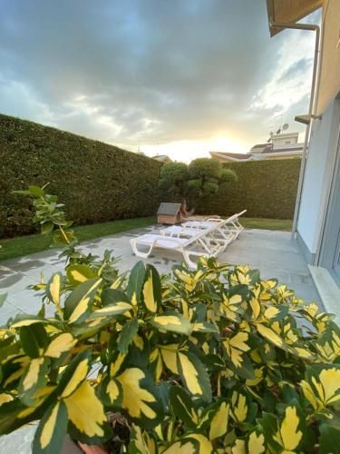 Outdoor Pictures 23