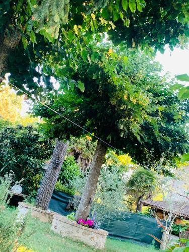 Outdoor Pictures 15