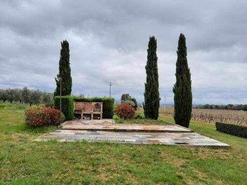 Outdoor Pictures 21