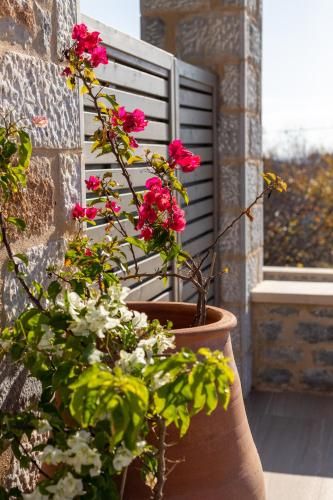 Outdoor Pictures 22