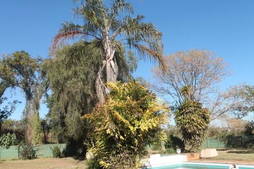 Outdoor Pictures 5