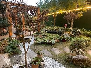 Outdoor Pictures 1