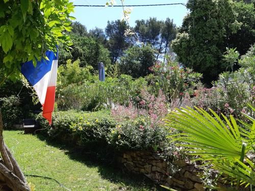 Outdoor Pictures 7