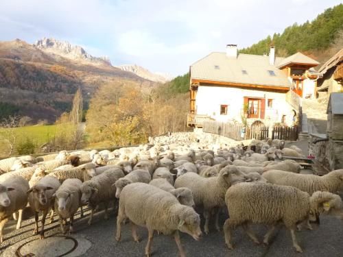 B&B Fontbriand