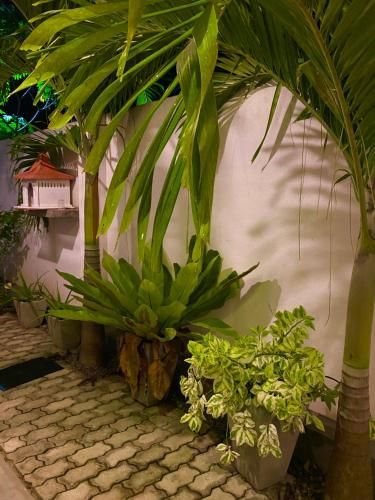 Outdoor Pictures 7