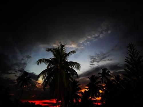 Outdoor Pictures 9
