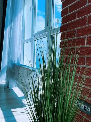 Outdoor Pictures 11