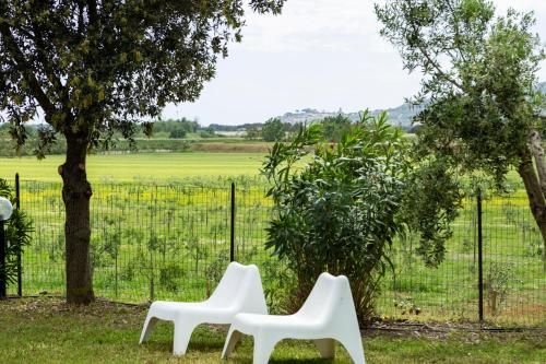 Outdoor Pictures 7