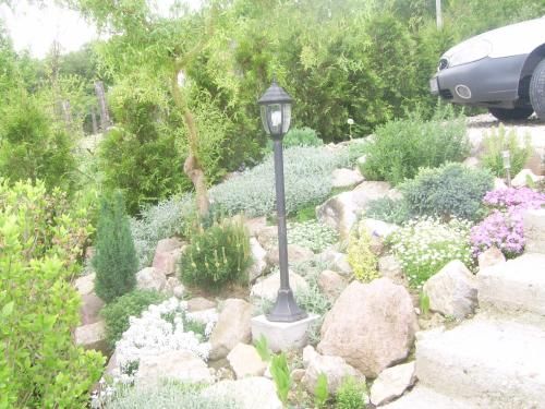 Outdoor Pictures 5