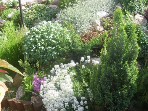 Outdoor Pictures 6