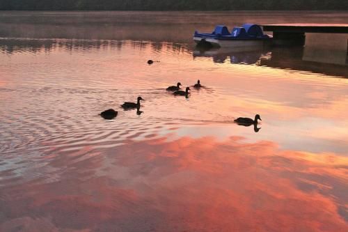 Outdoor Pictures 15
