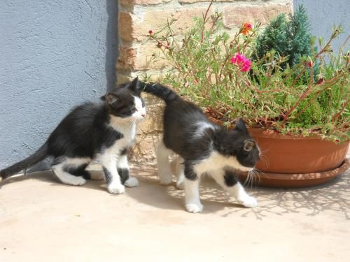 Outdoor Pictures 10
