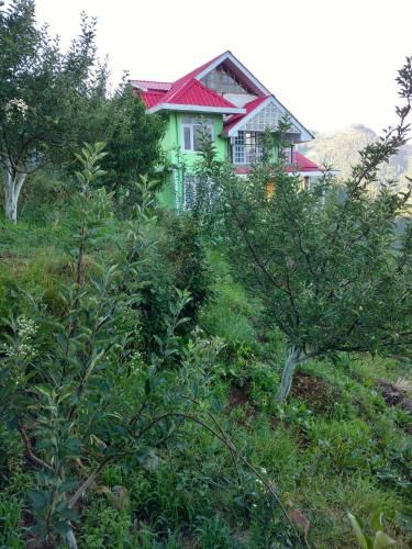 Outdoor Pictures 1