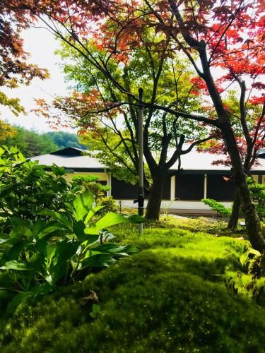 Outdoor Pictures 11