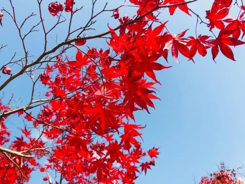Outdoor Pictures 14