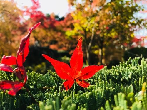 Outdoor Pictures 15