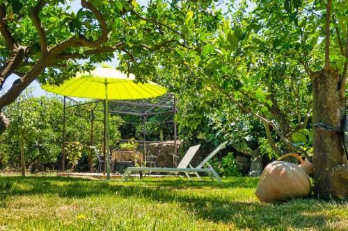Outdoor Pictures 10