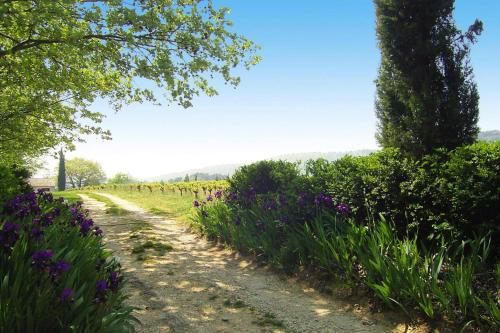 Outdoor Pictures 23