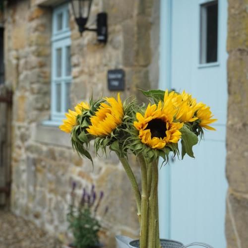 Elishaw Farm Holiday Cottages