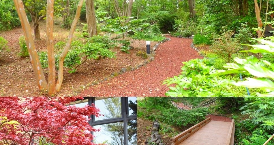 Outdoor Pictures 5
