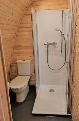 Frankenwald Chalets - Lodges