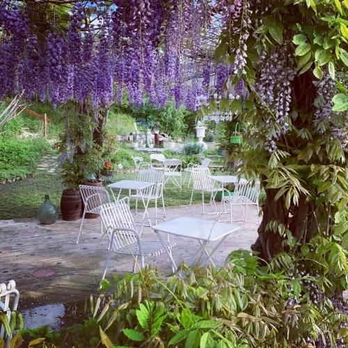 Outdoor Pictures 7