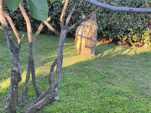 Outdoor Pictures 9