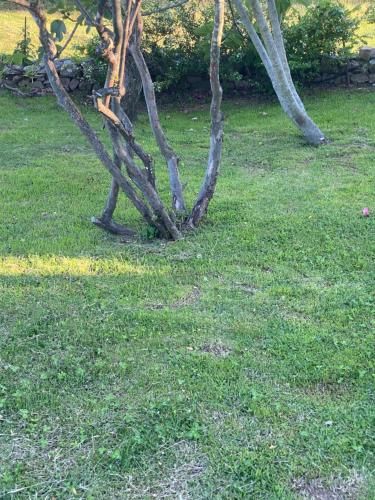 Outdoor Pictures 12