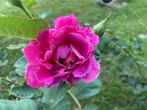 Outdoor Pictures 15