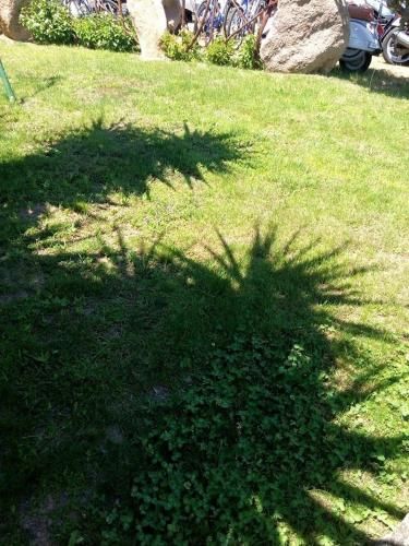 Outdoor Pictures 23