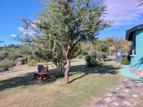 Outdoor Pictures 24