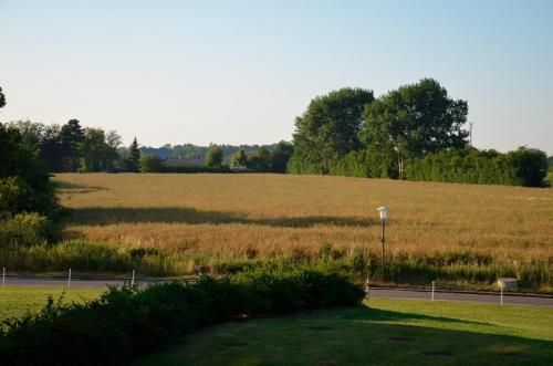 Outdoor Pictures 4