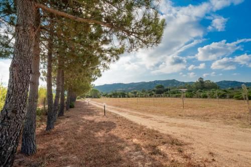Outdoor Pictures 22