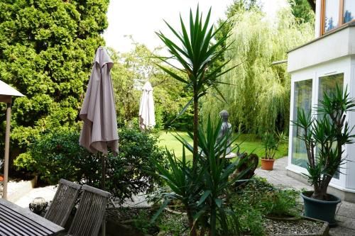Outdoor Pictures 16