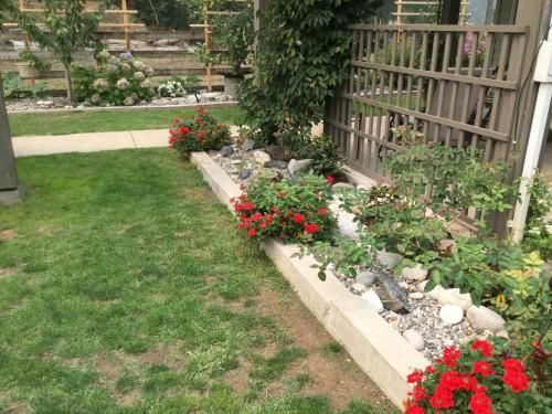 Outdoor Pictures 8