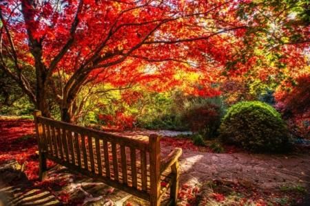 Outdoor Pictures 4
