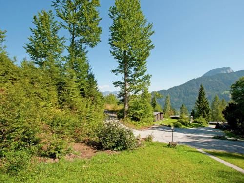 Outdoor Pictures 24