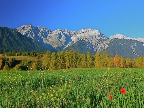 Outdoor Pictures 21