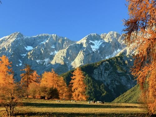 Outdoor Pictures 22