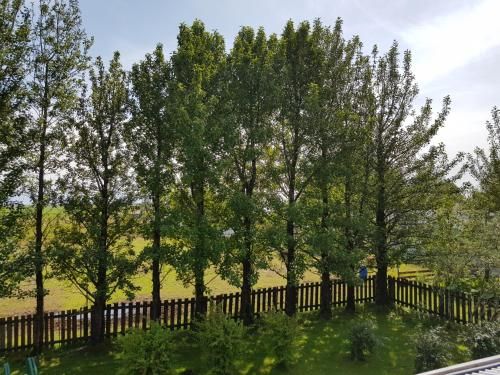 Outdoor Pictures 1