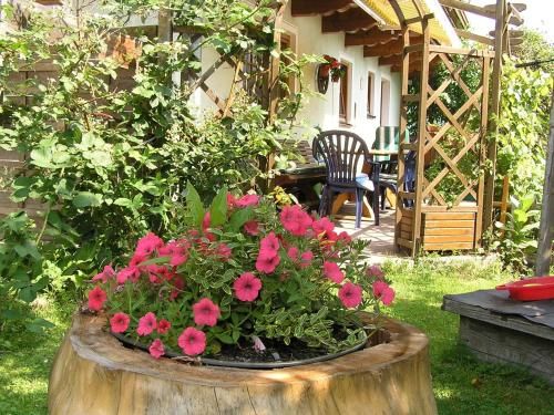 Outdoor Pictures 20