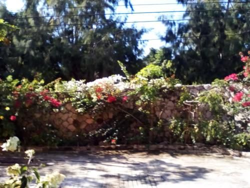 Outdoor Pictures 20