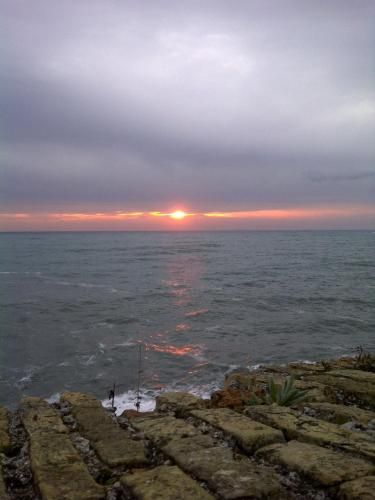 Outdoor Pictures 1